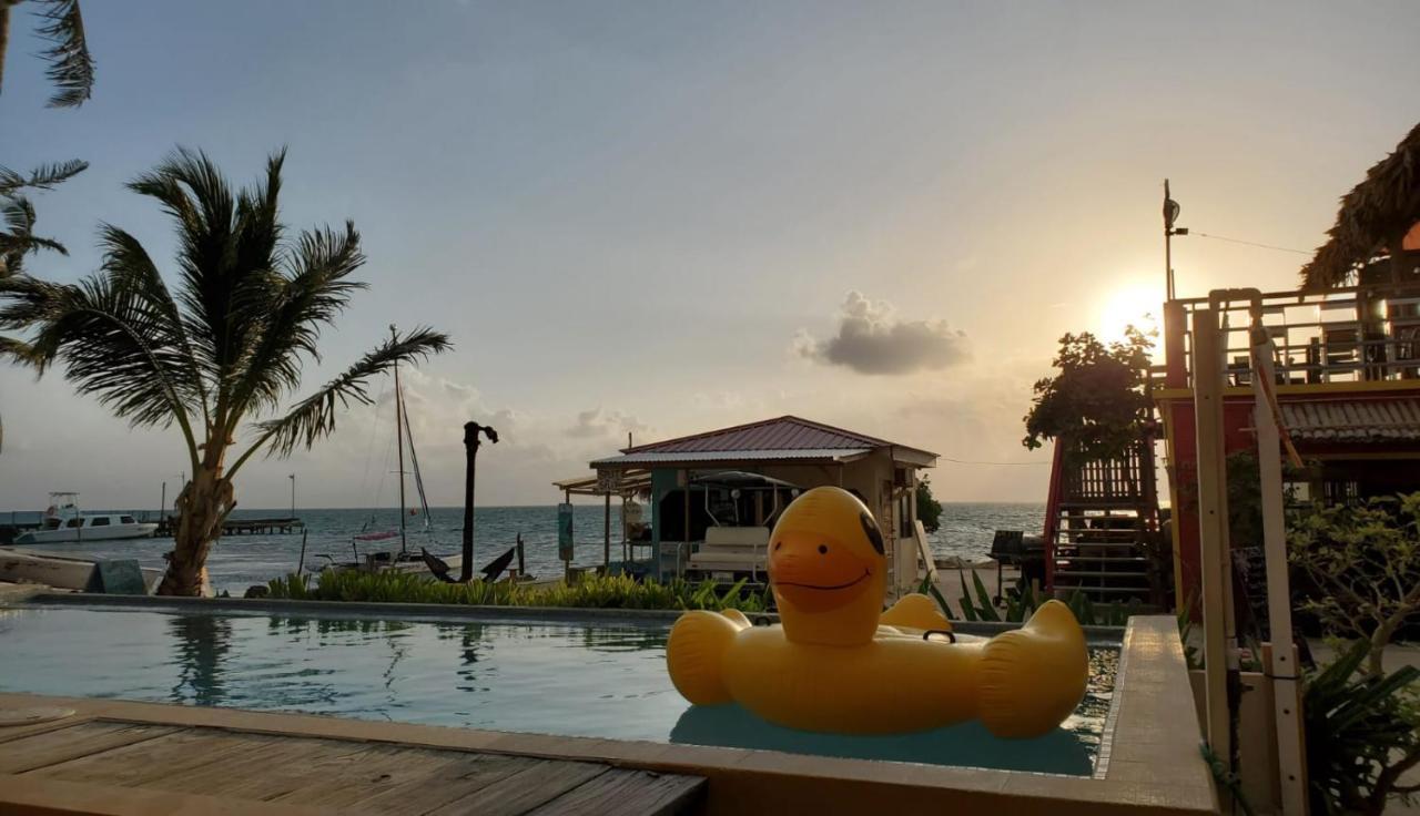 Beach Club Condos At Popeyes Caye Caulker Exterior foto